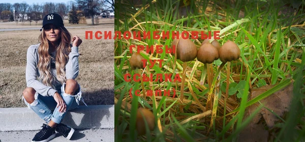 мескалин Богданович