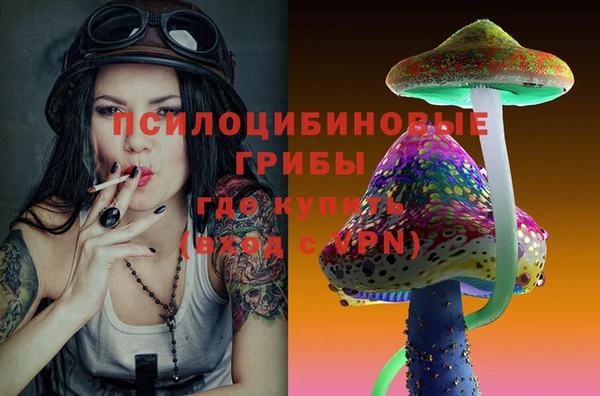 ALPHA PVP Богородск