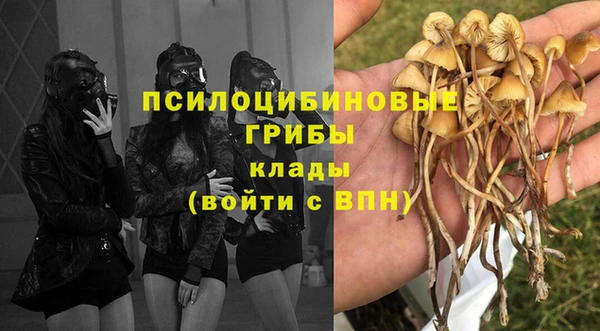 прущая мука Богородицк