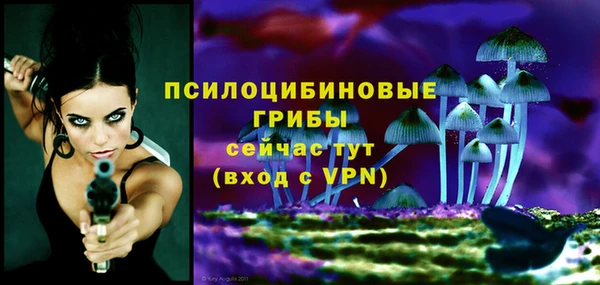 ALPHA PVP Богородск