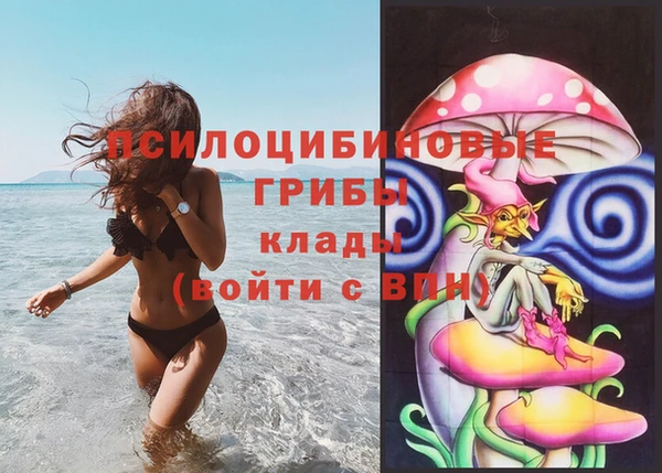 прущая мука Богородицк