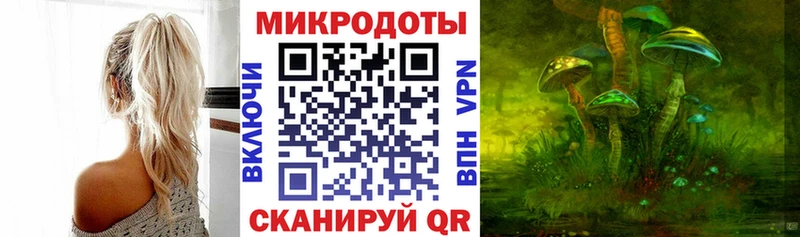 Псилоцибиновые грибы Psilocybe  как найти   Кохма 